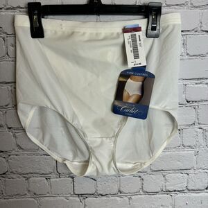 VTG Sears Firm Control Perfectly Fitting Natural Fit Panty Brief LARGE NOS‎